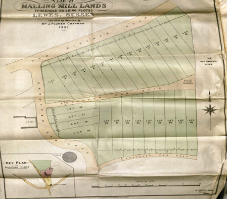 Malling Hill plots 1901